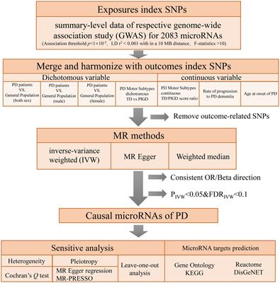 Systematic genome-wide Mendelian randomization reveals the causal links between miRNAs and Parkinson’s disease